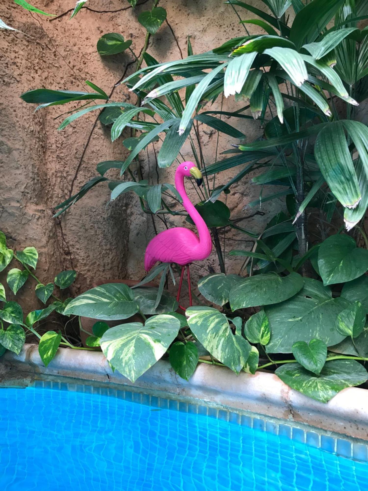 Tropical Oasis Apartman Ouakam Kültér fotó