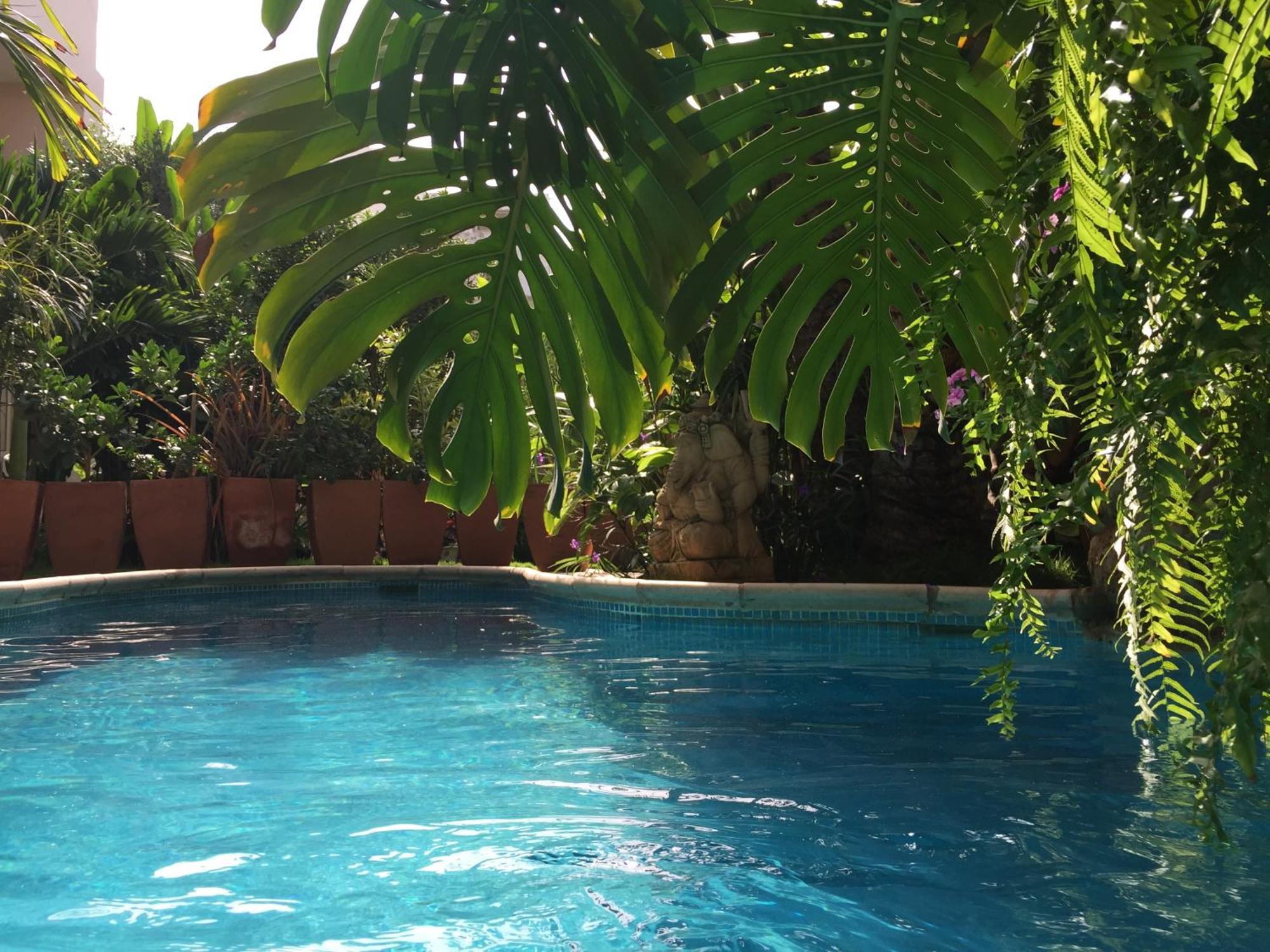 Tropical Oasis Apartman Ouakam Kültér fotó