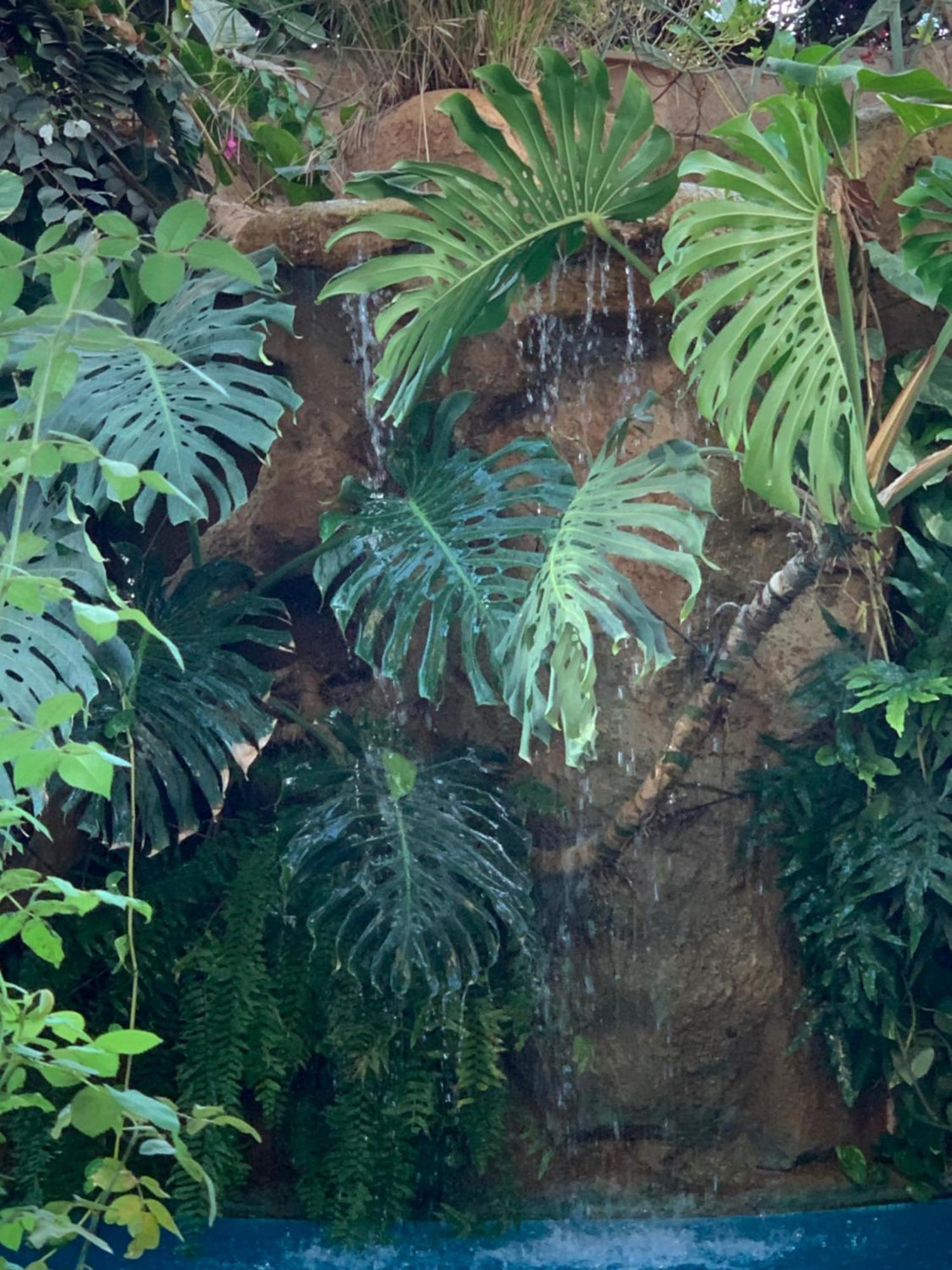 Tropical Oasis Apartman Ouakam Kültér fotó