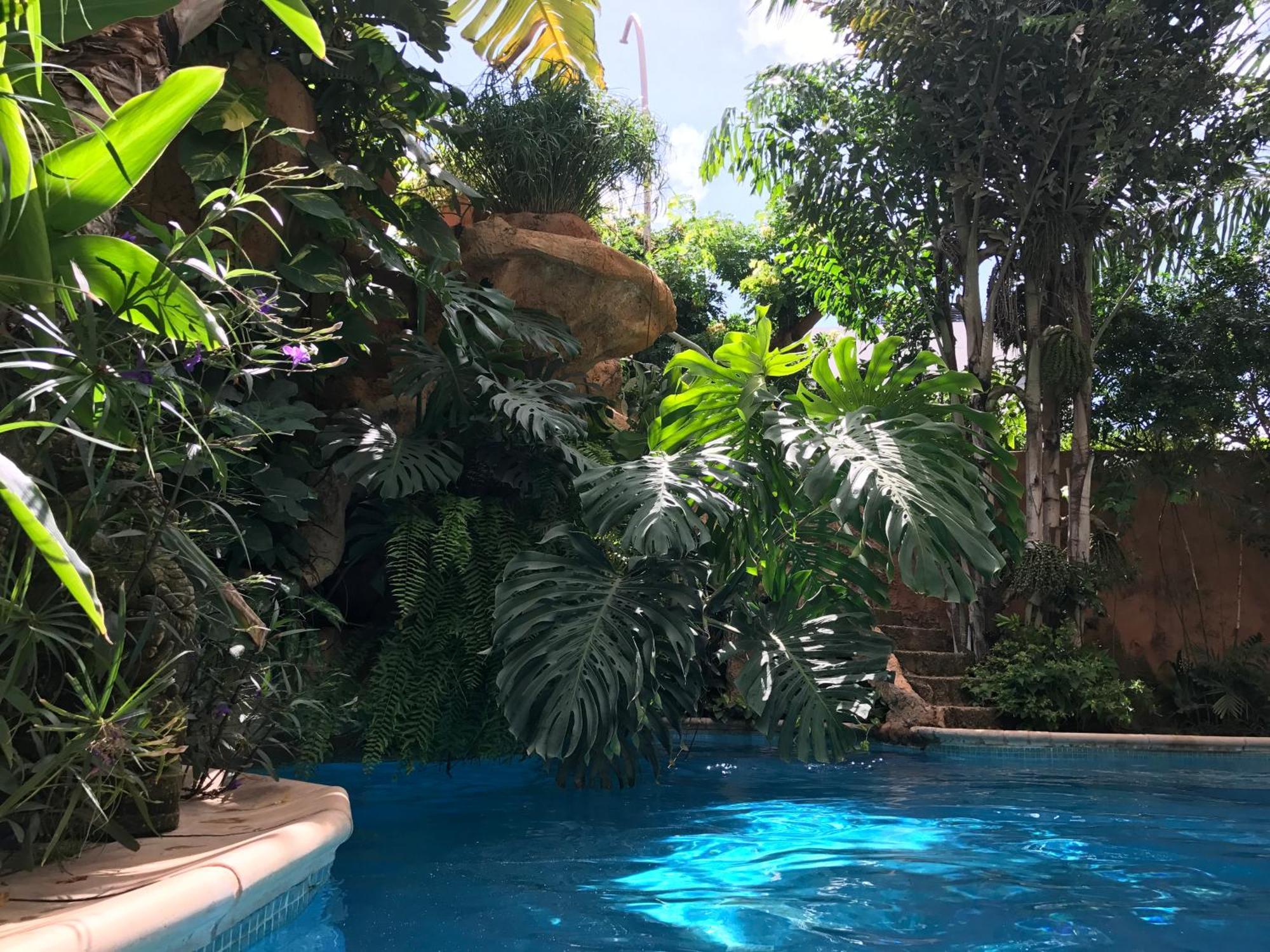 Tropical Oasis Apartman Ouakam Kültér fotó