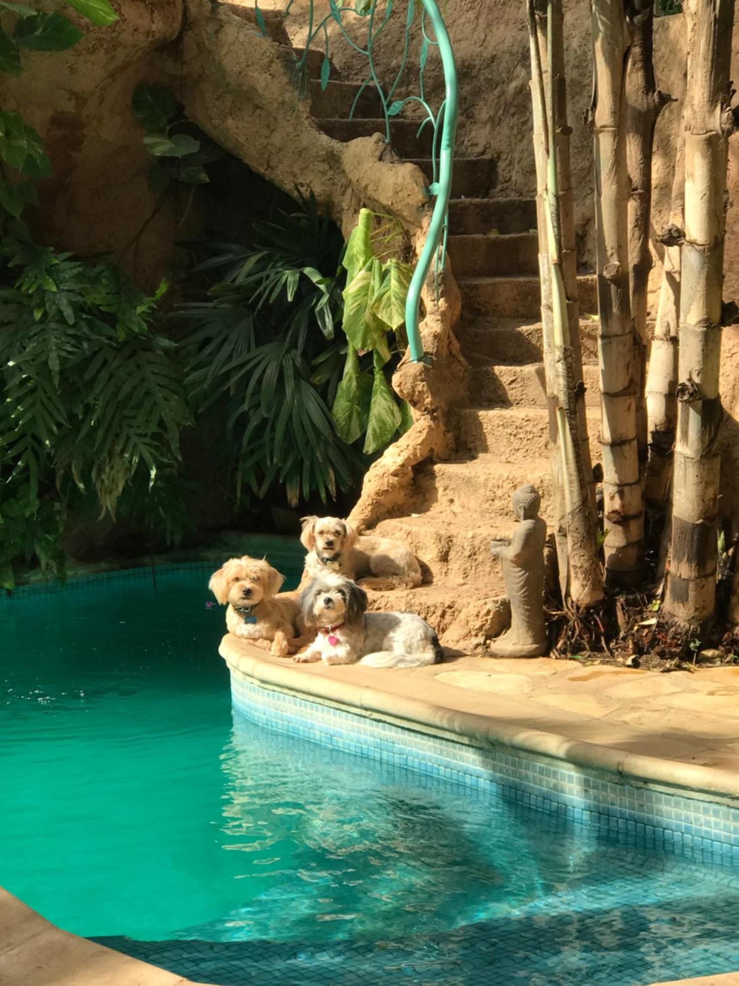 Tropical Oasis Apartman Ouakam Kültér fotó